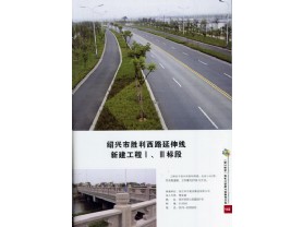 胜利西路延伸线工程-钱江杯获奖照片